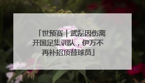 世预赛｜武磊因伤离开国足集训队，伊万不再补招顶替球员