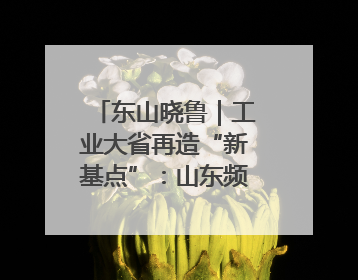 东山晓鲁｜工业大省再造“新基点”：山东频频布局“隐形冠军”背后