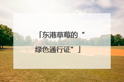 东港草莓的“绿色通行证”