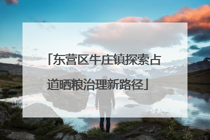东营区牛庄镇探索占道晒粮治理新路径