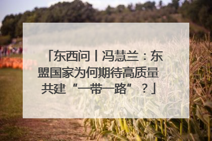 东西问丨冯慧兰：东盟国家为何期待高质量共建“一带一路”？