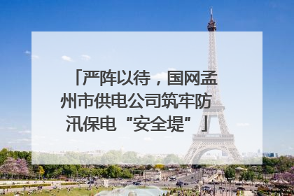 严阵以待，国网孟州市供电公司筑牢防汛保电“安全堤”