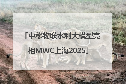 中移物联水利大模型亮相MWC上海2025