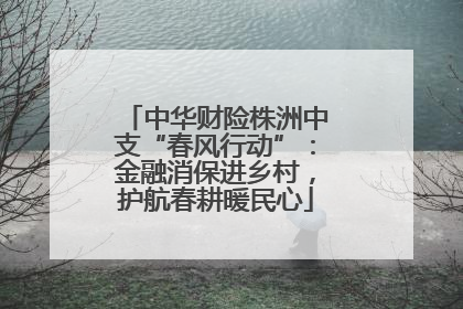 中华财险株洲中支“春风行动”：金融消保进乡村，护航春耕暖民心