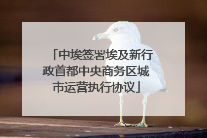 中埃签署埃及新行政首都中央商务区城市运营执行协议
