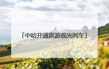 中哈开通旅游观光列车