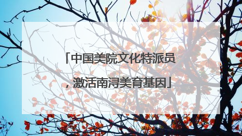 中国美院文化特派员，激活南浔美育基因