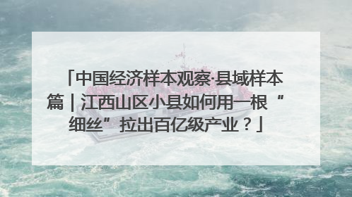 中国经济样本观察·县域样本篇｜江西山区小县如何用一根“细丝”拉出百亿级产业？