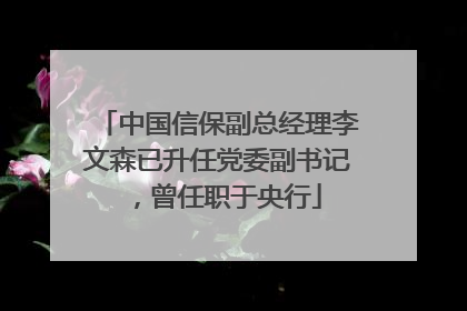 中国信保副总经理李文森已升任党委副书记，曾任职于央行