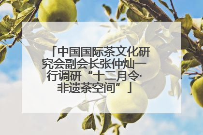 中国国际茶文化研究会副会长张仲灿一行调研“十二月令·非遗茶空间”