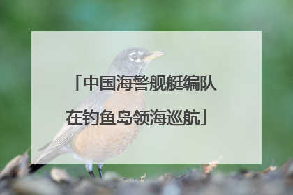 中国海警舰艇编队在钓鱼岛领海巡航