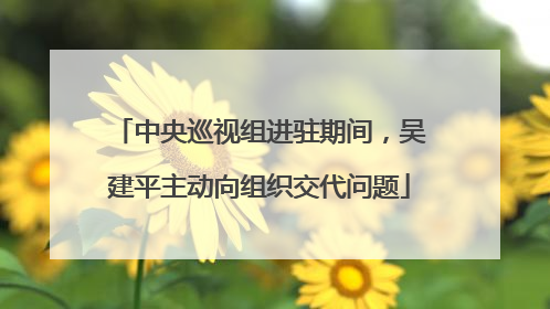 中央巡视组进驻期间，吴建平主动向组织交代问题