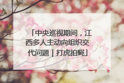 中央巡视期间，江西多人主动向组织交代问题｜打虎拍蝇