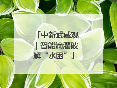 中新武威观｜智能滴灌破解“水困”