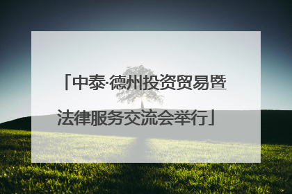 中泰·德州投资贸易暨法律服务交流会举行