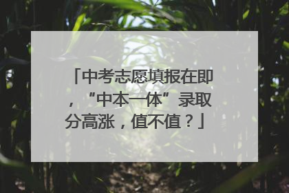 中考志愿填报在即，“中本一体”录取分高涨，值不值？