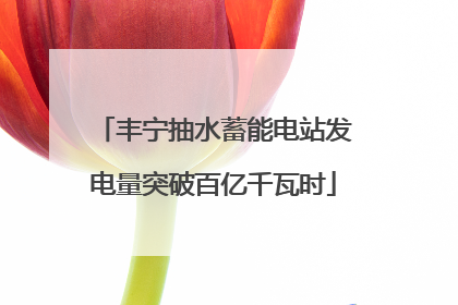 丰宁抽水蓄能电站发电量突破百亿千瓦时