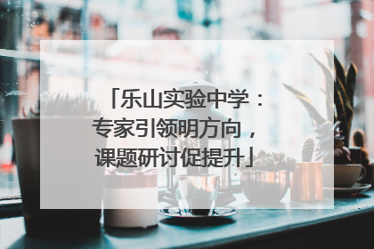 乐山实验中学：专家引领明方向，课题研讨促提升