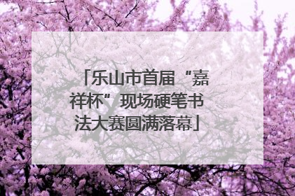 乐山市首届“嘉祥杯”现场硬笔书法大赛圆满落幕