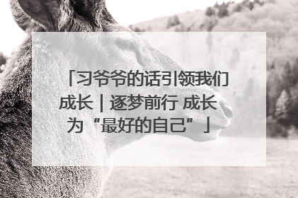 习爷爷的话引领我们成长｜逐梦前行 成长为“最好的自己”