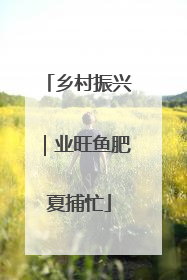 乡村振兴｜业旺鱼肥夏捕忙