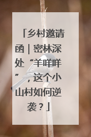 乡村邀请函｜密林深处“羊咩咩”，这个小山村如何逆袭？