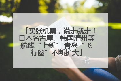 买张机票，说走就走！日本名古屋、韩国清州等航线“上新” 青岛“飞行圈”不断扩大