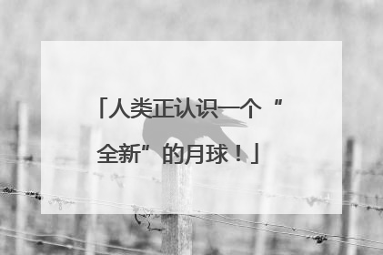 人类正认识一个“全新”的月球！