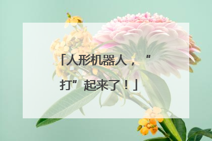 人形机器人，“打”起来了！