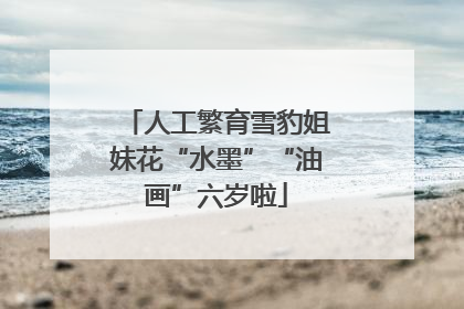 人工繁育雪豹姐妹花“水墨”“油画”六岁啦