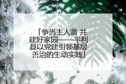 争当主人翁 共建好家园——平利县以党建引领基层善治的生动实践