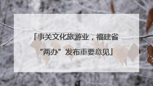 事关文化旅游业，福建省“两办”发布重要意见