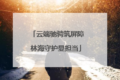 云端驰骋筑屏障 林海守护显担当