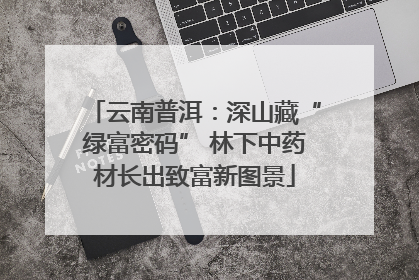 云南普洱：深山藏“绿富密码” 林下中药材长出致富新图景