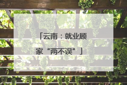 云南：就业顾家“两不误”