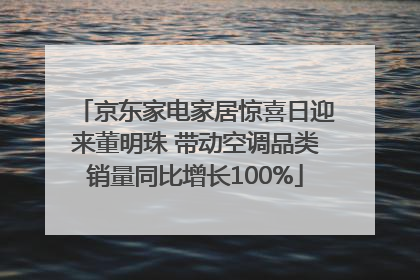 京东家电家居惊喜日迎来董明珠 带动空调品类销量同比增长100%