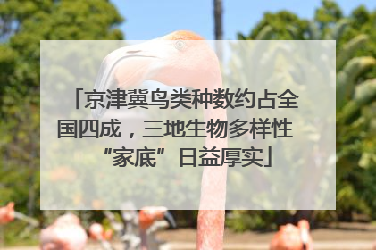 京津冀鸟类种数约占全国四成，三地生物多样性“家底”日益厚实