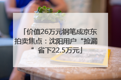价值26万元钢笔成京东拍卖焦点：沈阳用户“捡漏”省下22.5万元