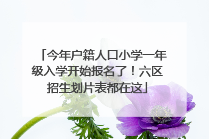 今年户籍人口小学一年级入学开始报名了！六区招生划片表都在这