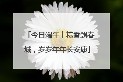 今日端午丨粽香飘春城，岁岁年年长安康