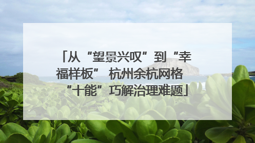 从“望景兴叹”到“幸福样板” 杭州余杭网格“十能”巧解治理难题