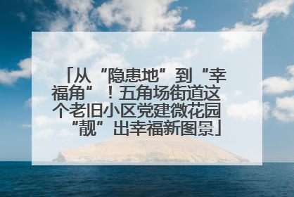 从“隐患地”到“幸福角”！五角场街道这个老旧小区党建微花园“靓”出幸福新图景