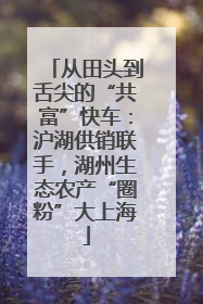 从田头到舌尖的“共富”快车：沪湖供销联手，湖州生态农产“圈粉”大上海