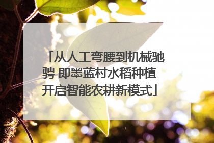 从人工弯腰到机械驰骋 即墨蓝村水稻种植开启智能农耕新模式