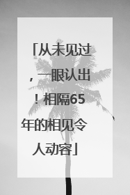 从未见过，一眼认出！相隔65年的相见令人动容