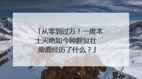 从零到过万！一度本土灭绝如今种群复壮 麋鹿经历了什么？