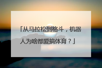 从马拉松到格斗，机器人为啥都爱搞体育？