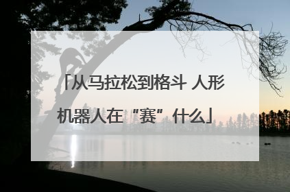 从马拉松到格斗 人形机器人在“赛”什么