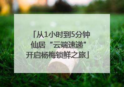 从1小时到5分钟 仙居“云端速递”开启杨梅锁鲜之旅