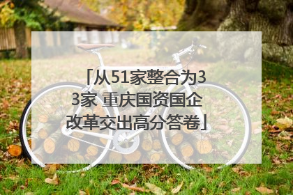 从51家整合为33家 重庆国资国企改革交出高分答卷